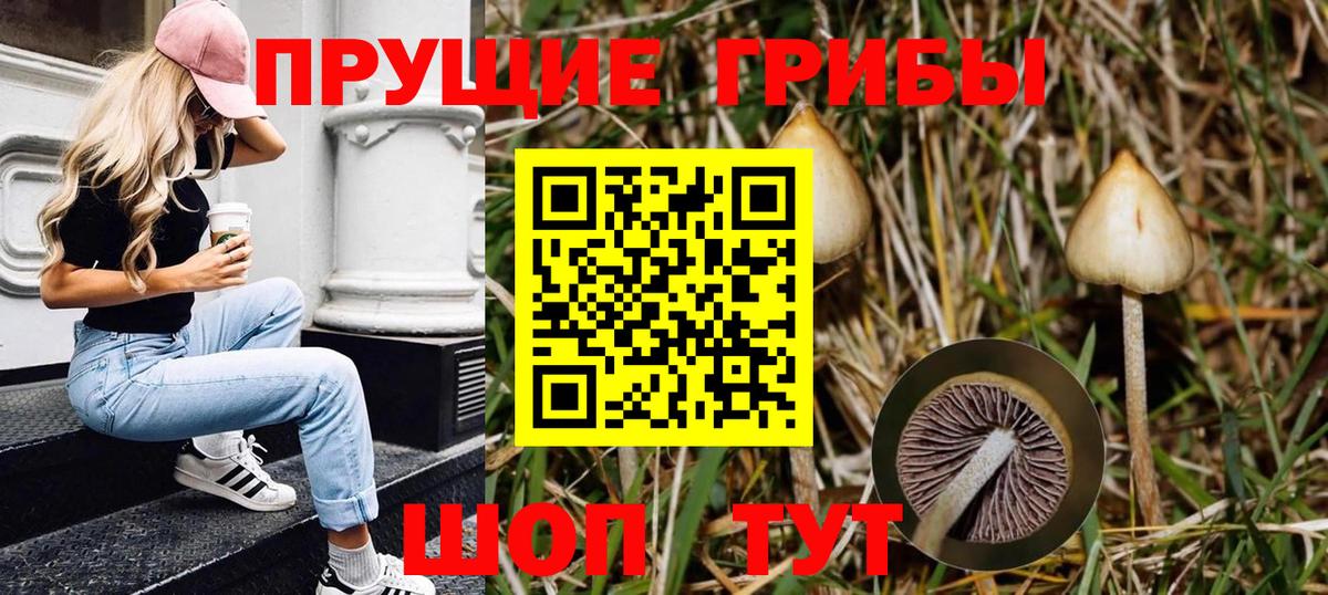 Галлюциногенные грибы Cubensis  Вход с VPN  Гудермес 