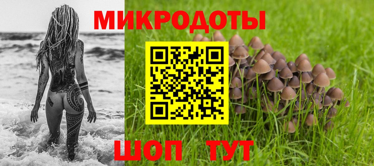 Галлюциногенные грибы мухоморы Гудермес